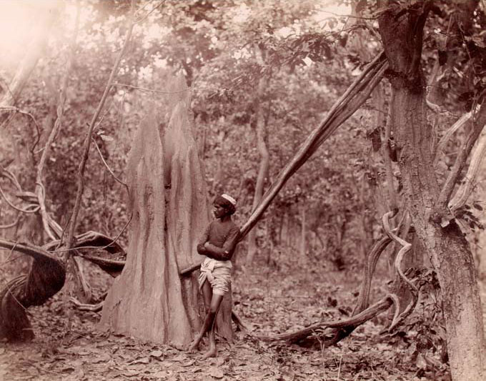 Young man next to termite mound. Johnston & Hoffmann, 08.–26.03.1893, Terai, Nepal, Copyright Museum of Ethnology, Photo Archive, Vienna, VF 14774